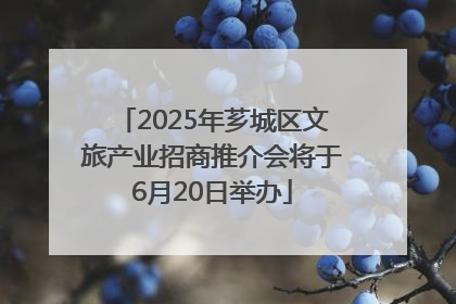 2025年芗城区文旅产业招商推介会将于6月20日举办
