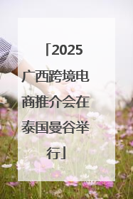 2025广西跨境电商推介会在泰国曼谷举行