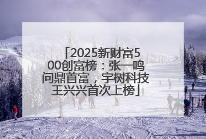 2025新财富500创富榜：张一鸣问鼎首富，宇树科技王兴兴首次上榜