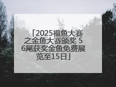 2025福鱼大赛之金鱼大赛颁奖 56尾获奖金鱼免费展览至15日