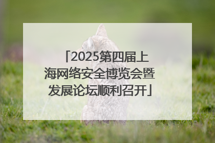 2025第四届上海网络安全博览会暨发展论坛顺利召开