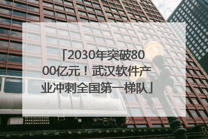 2030年突破8000亿元！武汉软件产业冲刺全国第一梯队