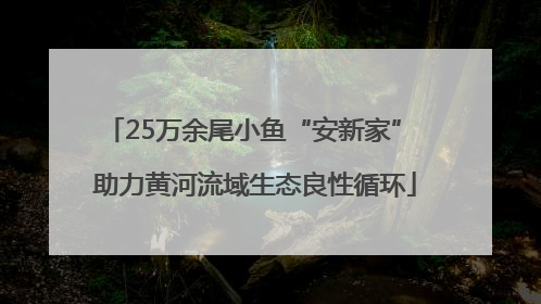 25万余尾小鱼“安新家” 助力黄河流域生态良性循环