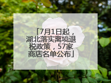 7月1日起，湖北落实离境退税政策，57家商店名单公布