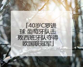 40岁C罗进球 葡萄牙队击败西班牙队夺得欧国联冠军
