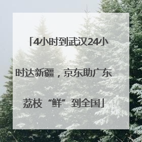 4小时到武汉24小时达新疆，京东助广东荔枝“鲜”到全国