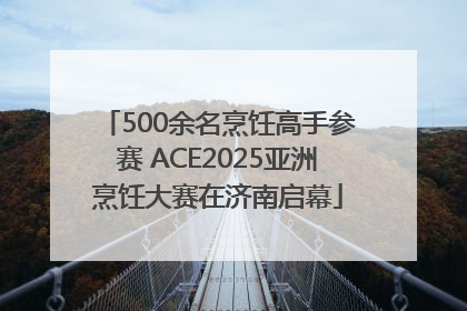 500余名烹饪高手参赛 ACE2025亚洲烹饪大赛在济南启幕