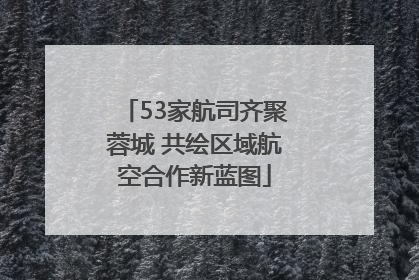 53家航司齐聚蓉城 共绘区域航空合作新蓝图