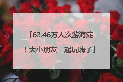 63.46万人次游海淀！大小朋友一起玩嗨了