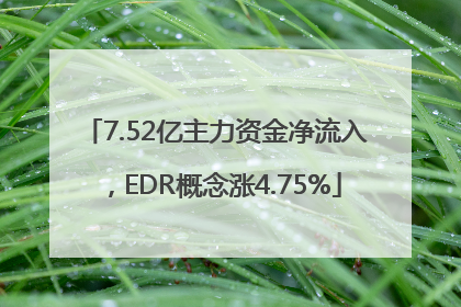 7.52亿主力资金净流入，EDR概念涨4.75%