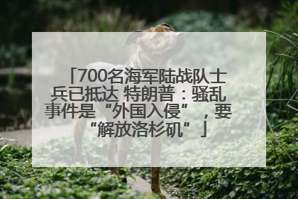 700名海军陆战队士兵已抵达 特朗普：骚乱事件是“外国入侵”，要“解放洛杉矶”