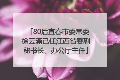 80后宜春市委常委徐云涌已任江西省委副秘书长、办公厅主任