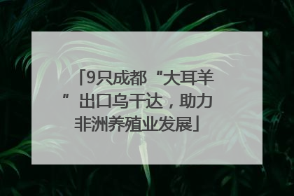 9只成都“大耳羊”出口乌干达，助力非洲养殖业发展