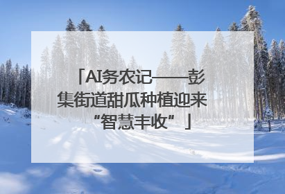 AI务农记——彭集街道甜瓜种植迎来“智慧丰收”