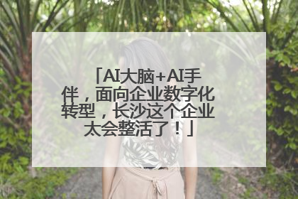 AI大脑+AI手伴，面向企业数字化转型，长沙这个企业太会整活了！