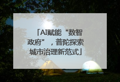 AI赋能“数智政府”，普陀探索城市治理新范式