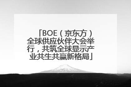 BOE（京东方）全球供应伙伴大会举行，共筑全球显示产业共生共赢新格局