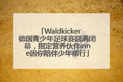Waldkicker德国青少年足球赛圆满闭幕，指定营养伙伴inne因你陪伴少年前行