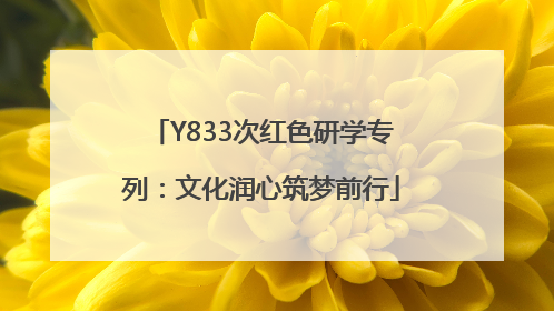 Y833次红色研学专列：文化润心筑梦前行